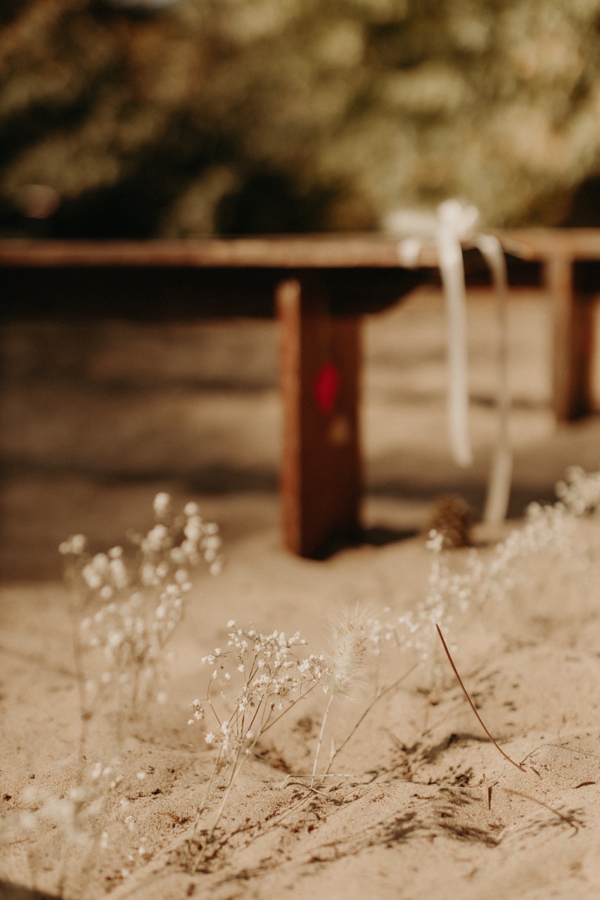 Mariage Landes Ocean Seignosse 12 Grande